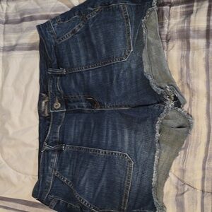 Torrid short shorts